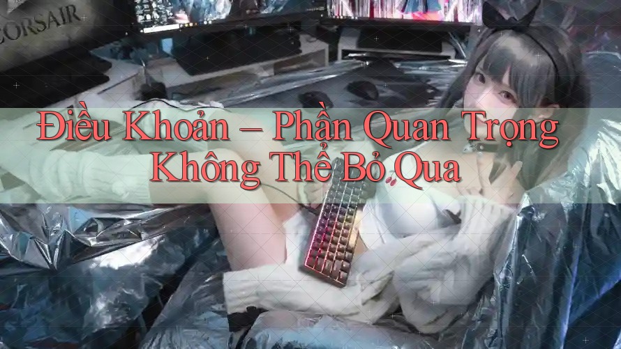 Điều Khoản – Phần Quan Trọng Không Thể Bỏ Qua