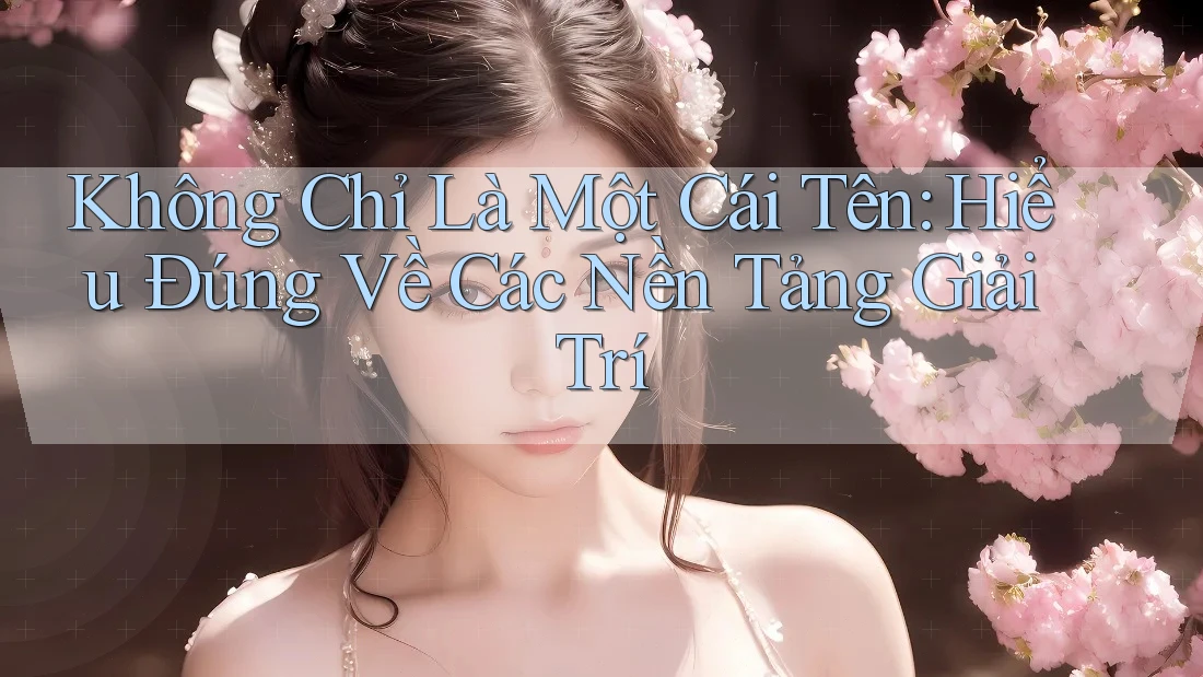 Không Chỉ Là Một Cái Tên: Hiểu Đúng Về Các Nền Tảng Giải Trí Không Chỉ Là Một Cái Tên: Hiểu Đúng Về Các Nền Tảng Giải Trí