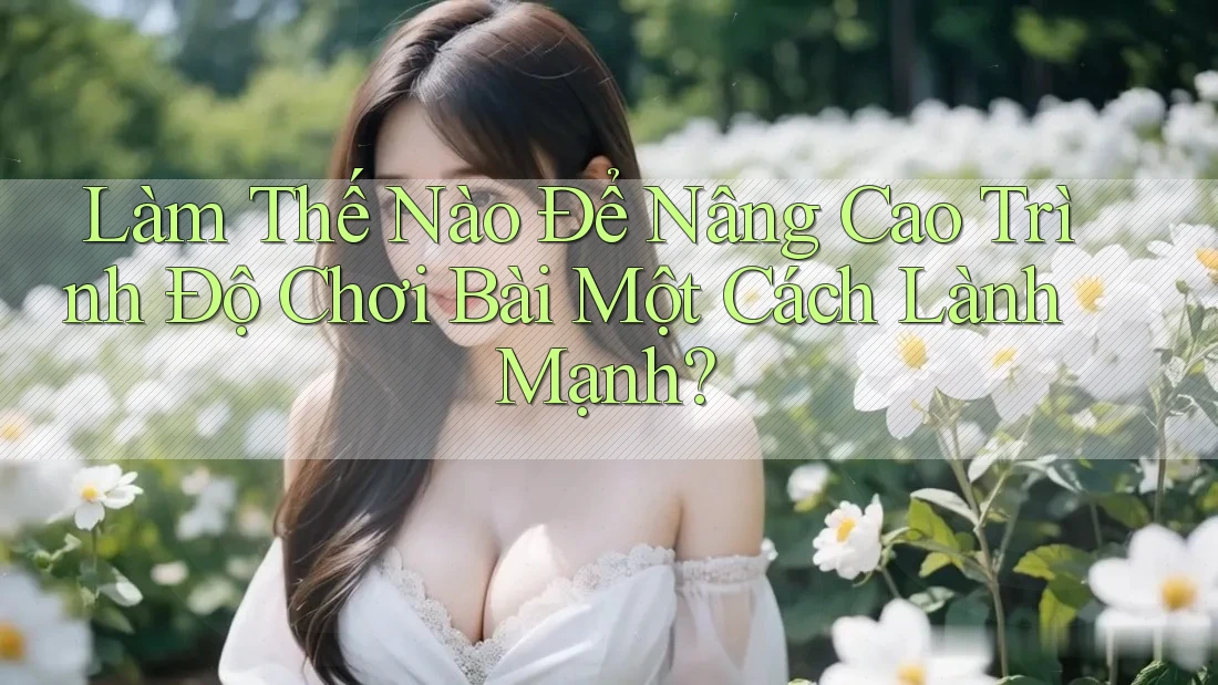 Làm Thế Nào Để Nâng Cao Trình Độ Chơi Bài Một Cách Lành Mạnh? Làm Thế Nào Để Nâng Cao Trình Độ Chơi Bài Một Cách Lành Mạnh?