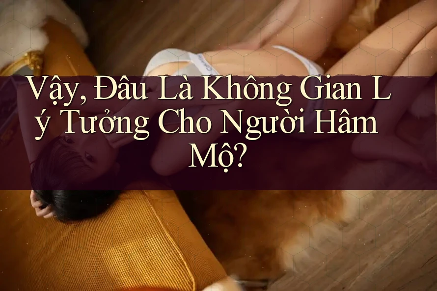 Vậy, Đâu Là Không Gian Lý Tưởng Cho Người Hâm Mộ? Vậy, Đâu Là Không Gian Lý Tưởng Cho Người Hâm Mộ?