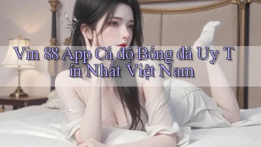 vin 88 app cá độ bóng đá uy tín nhất việt nam