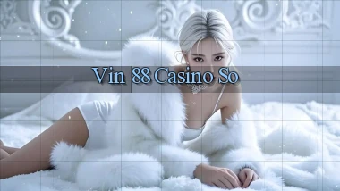 vin 88 casino so